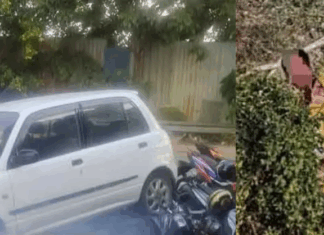 Warga Pakistan mabuk rempuh restoran, lari terjun tembok diberkas