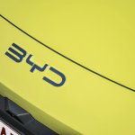 BYD Dolphin Surf 2025 Belgium.10
