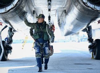 Panglima Tentera Udara ketuai persembahan udara Hari Kebangsaan