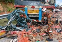 Dua maut, lori telur rempuh treler di PLUS