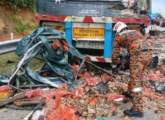 Dua maut, lori telur rempuh treler di PLUS