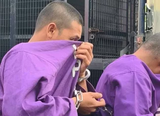 Duda dipenjara 13 bulan gara-gara rosakkan cermin kereta