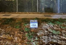 Rider ‘rembat’ helmet Arai RM15k, tinggalkan tepi jalan