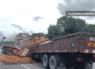 Pemandu van Nissan maut tersepit antara treler dan lori