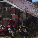 pokok tumbang_5