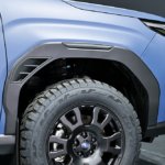 Subaru Forester Wilderness JMS 2025.19