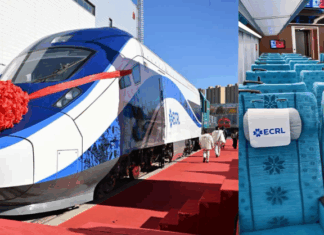 Dua jenis tren ECRL siap pasang di China