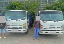 JPJ sita lori dipandu warga asing