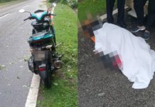 Ribut Tropika Senyar: Penunggang motor maut langgar pokok tumbang