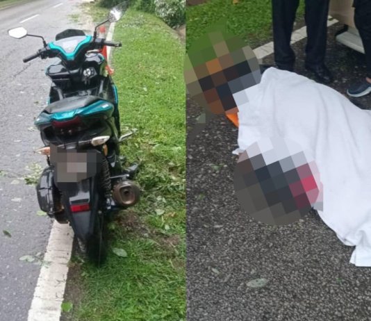 Ribut Tropika Senyar: Penunggang motor maut langgar pokok tumbang