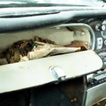 Mr and Mrs Williams’ 1965 DB5 Vantage pre-restoration in 2022 (09)