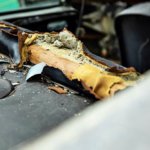 Mr and Mrs Williams’ 1965 DB5 Vantage pre-restoration in 2022 (14)