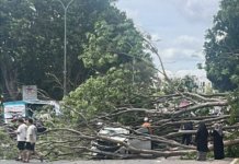 Maut dihempap pokok tumbang: Arwah buat ‘part time’ rider Grab kumpul duit kahwin