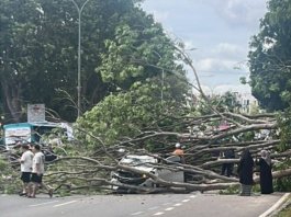 Maut dihempap pokok tumbang: Arwah buat ‘part time’ rider Grab kumpul duit kahwin
