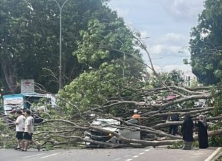 Maut dihempap pokok tumbang: Arwah buat ‘part time’ rider Grab kumpul duit kahwin