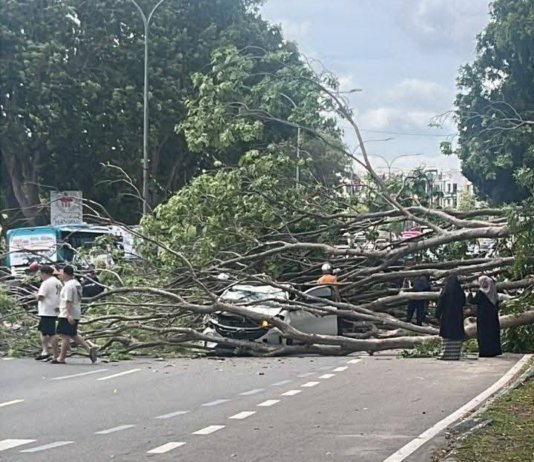 Maut dihempap pokok tumbang: Arwah buat ‘part time’ rider Grab kumpul duit kahwin