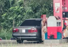 Dua beradik wanita dicekup isi petrol berulang