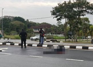Pemandu Myvi larikan diri selepas langgar polis sudah ditahan