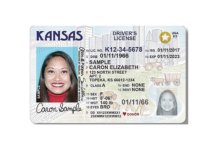 Kansai batalkan ribuan lesen memandu golongan transgender, perlu guna jantina asal ketika lahir