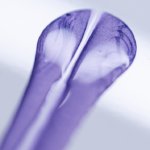 Bugatti W16 Mistral Sur Mesur Caroline.17