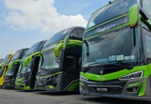 ‘Kantoi’ bawa PATI, pemandu bas ekspres hilangkan diri