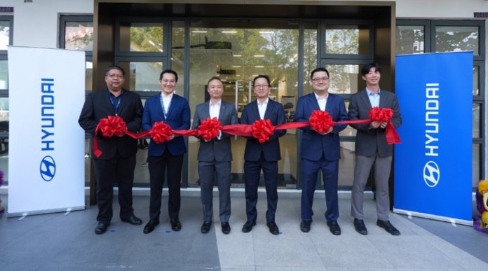 Hyundai Palm Motor i