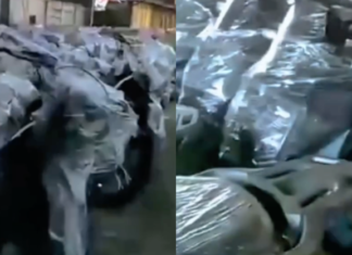 Kementerian Kewangan pernah tolak, BGN tetap beli motor elektrik?