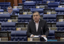 Pindaan Akta 333: Pemandu mabuk, kerajaan fokus aspek keadilan keluarga mangsa