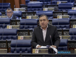 Pindaan Akta 333: Pemandu mabuk, kerajaan fokus aspek keadilan keluarga mangsa
