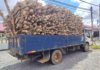 Percaya cakap tonto, lori muatan kayu getah kena sita