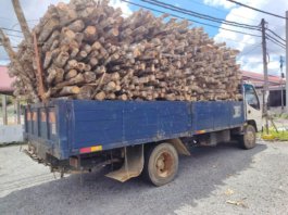 Percaya cakap tonto, lori muatan kayu getah kena sita