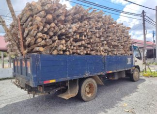 Percaya cakap tonto, lori muatan kayu getah kena sita