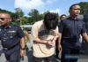 Pemandu Mercedes direman empat hari, siasatan di bawah Seksyen 302