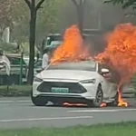 BYD Chin Plus_2.jpg