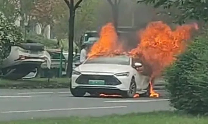 BYD Chin Plus_2.jpg