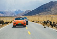 Porsche tutup 30 peratus pusat pengedar di China
