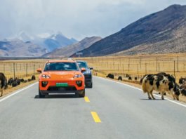 Porsche tutup 30 peratus pusat pengedar di China