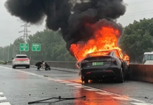 Tesla Model Y rentung terbakar rempuh pembahagi jalan