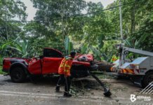 Empat maut dalam kejadian pokok tumbang