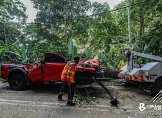Empat maut dalam kejadian pokok tumbang