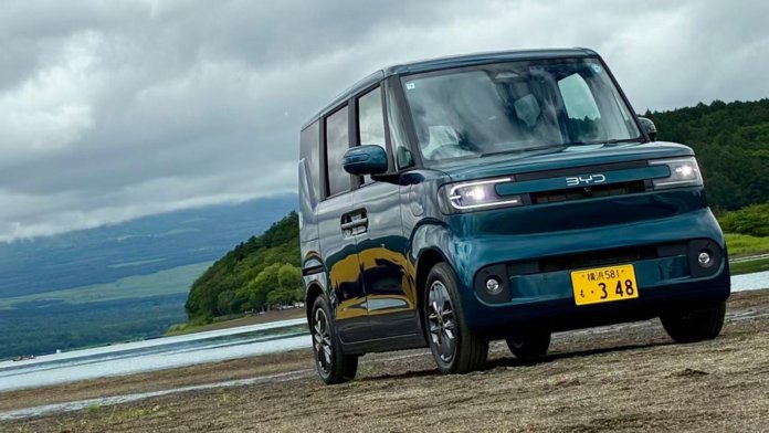 byd racco_6