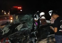 MPV rempuh sekumpulan gajah liar di LPT2