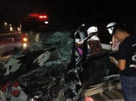 MPV rempuh sekumpulan gajah liar di LPT2