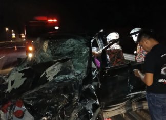 MPV rempuh sekumpulan gajah liar di LPT2
