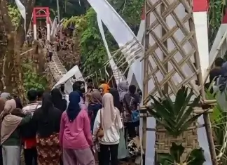 Baru saja gunting riben, jambatan gantung roboh