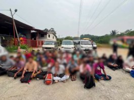 Caj RM100 sebulan, sindiket van haram warga asing terbongkar