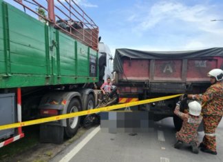 Tersepit di tengah dua lori, murid tahun 6 maut